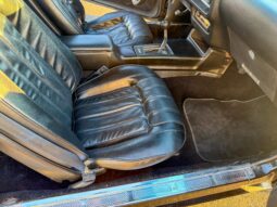 1976 Pontiac Firebird Trans Am full