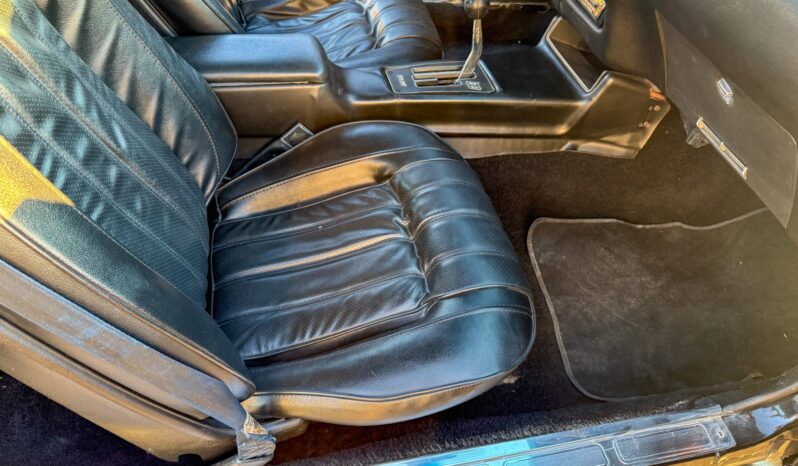 								1976 Pontiac Firebird Trans Am full									