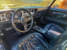 1976 Pontiac Firebird Trans Am full