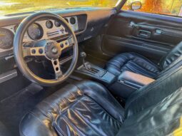 1976 Pontiac Firebird Trans Am full