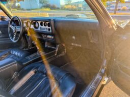 1976 Pontiac Firebird Trans Am full