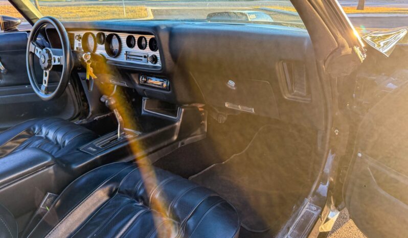 								1976 Pontiac Firebird Trans Am full									