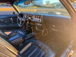 1976 Pontiac Firebird Trans Am full