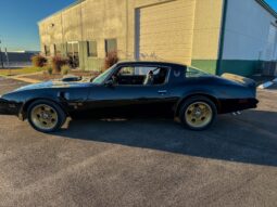 1976 Pontiac Firebird Trans Am full
