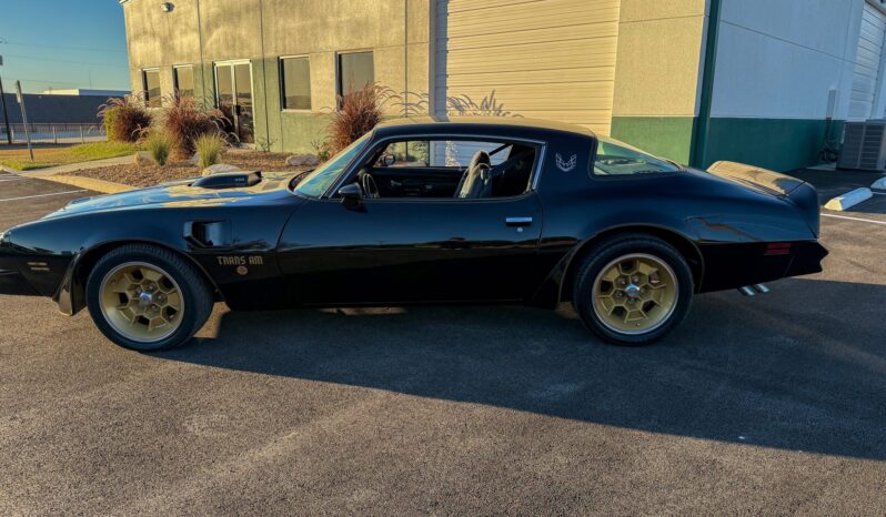 								1976 Pontiac Firebird Trans Am full									