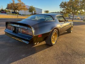 1976 Pontiac Firebird Trans Am