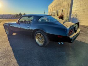 1976 Pontiac Firebird Trans Am