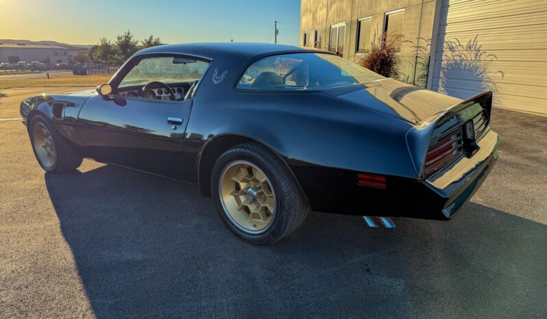 								1976 Pontiac Firebird Trans Am full									