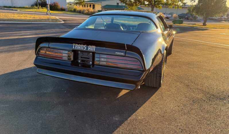 								1976 Pontiac Firebird Trans Am full									