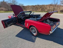 										1965 Ford Mustang Convertible 351W V8 full									