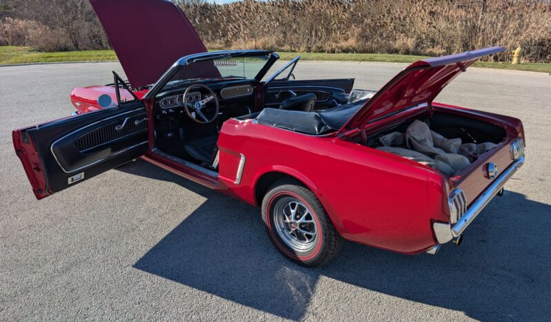 								1965 Ford Mustang Convertible 351W V8 full									