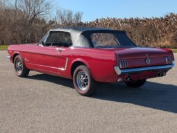 										1965 Ford Mustang Convertible 351W V8 full									