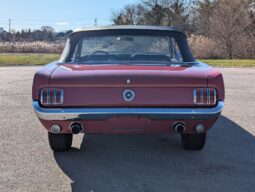										1965 Ford Mustang Convertible 351W V8 full									