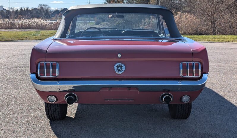 								1965 Ford Mustang Convertible 351W V8 full									