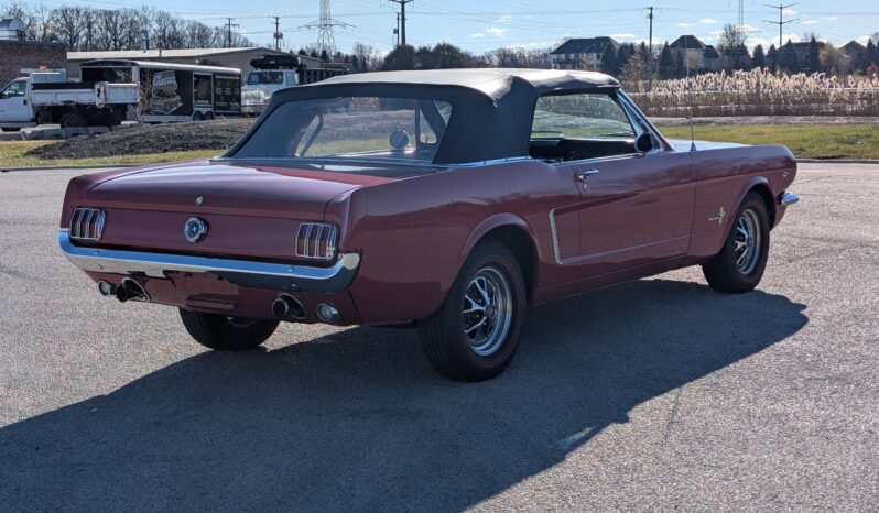 								1965 Ford Mustang Convertible 351W V8 full									