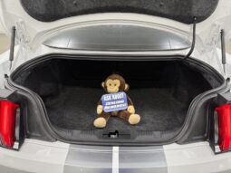 2018 Ford Mustang GT Premium 5.0L V8 full