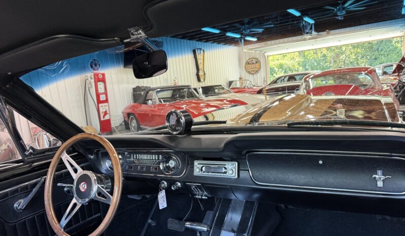 								1965 Ford Mustang Fastback Hertz Gt350h full									