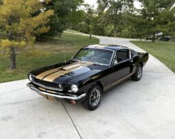 										1965 Ford Mustang Fastback Hertz Gt350h full									