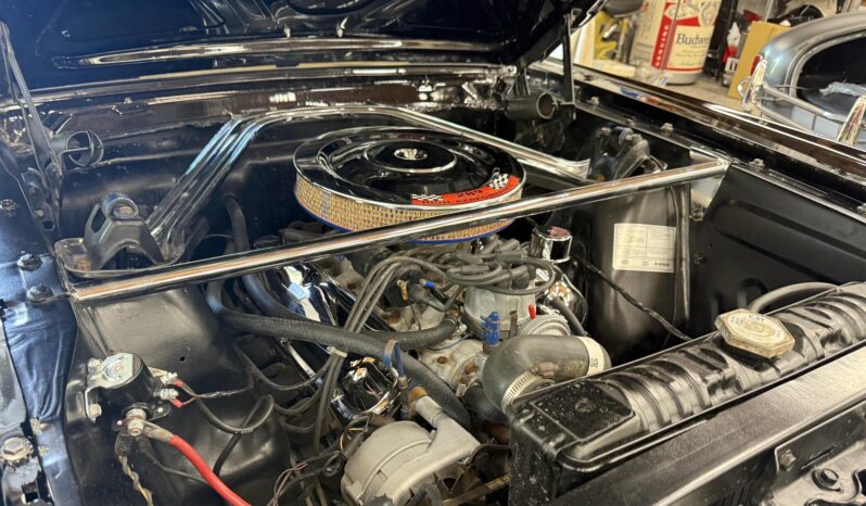 								1965 Ford Mustang Fastback Hertz Gt350h full									