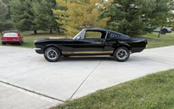 										1965 Ford Mustang Fastback Hertz Gt350h full									