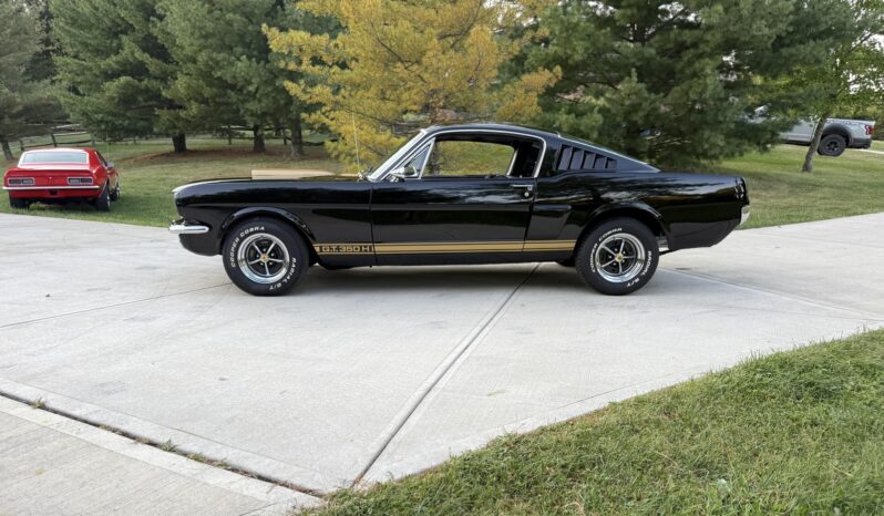 								1965 Ford Mustang Fastback Hertz Gt350h full									