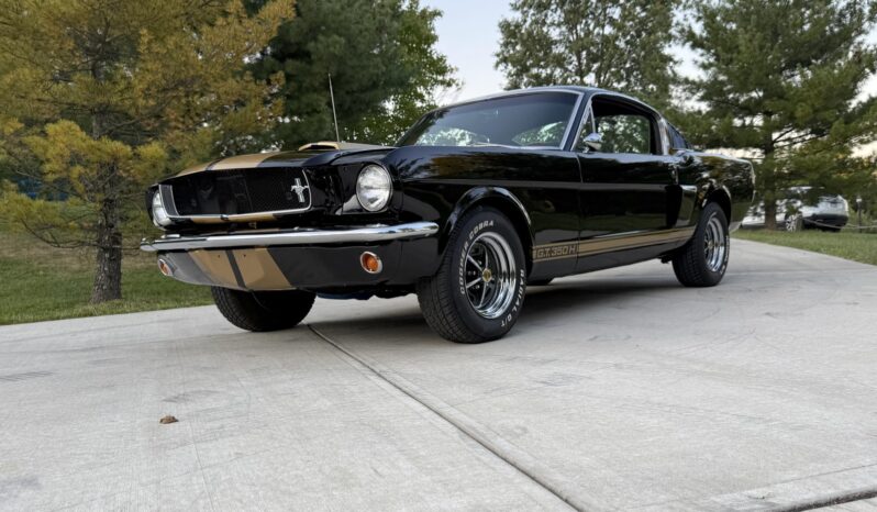 								1965 Ford Mustang Fastback Hertz Gt350h full									