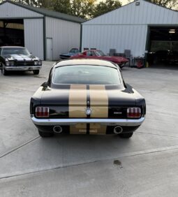 										1965 Ford Mustang Fastback Hertz Gt350h full									