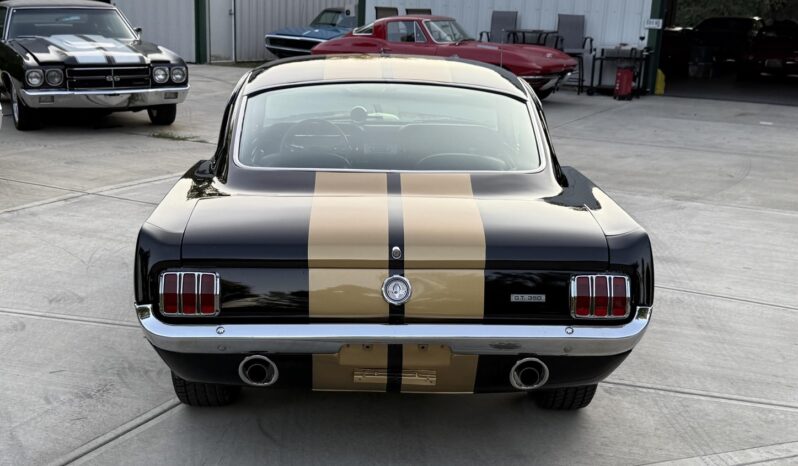 								1965 Ford Mustang Fastback Hertz Gt350h full									