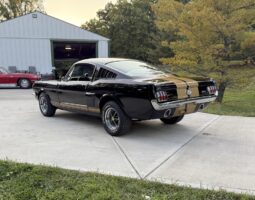 										1965 Ford Mustang Fastback Hertz Gt350h full									