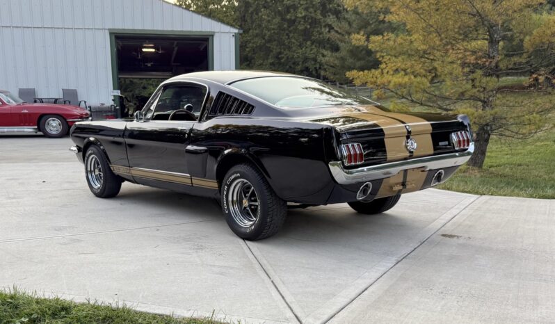 								1965 Ford Mustang Fastback Hertz Gt350h full									