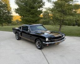 1965 Ford Mustang Fastback Hertz Gt350h