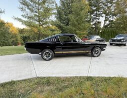 1965 Ford Mustang Fastback Hertz Gt350h