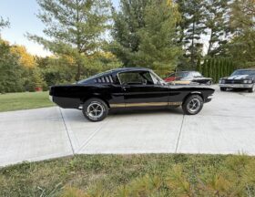 1965 Ford Mustang Fastback Hertz Gt350h