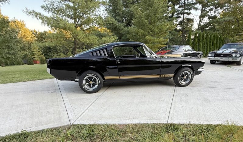 								1965 Ford Mustang Fastback Hertz Gt350h full									