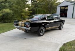 1965 Ford Mustang Fastback Hertz Gt350h