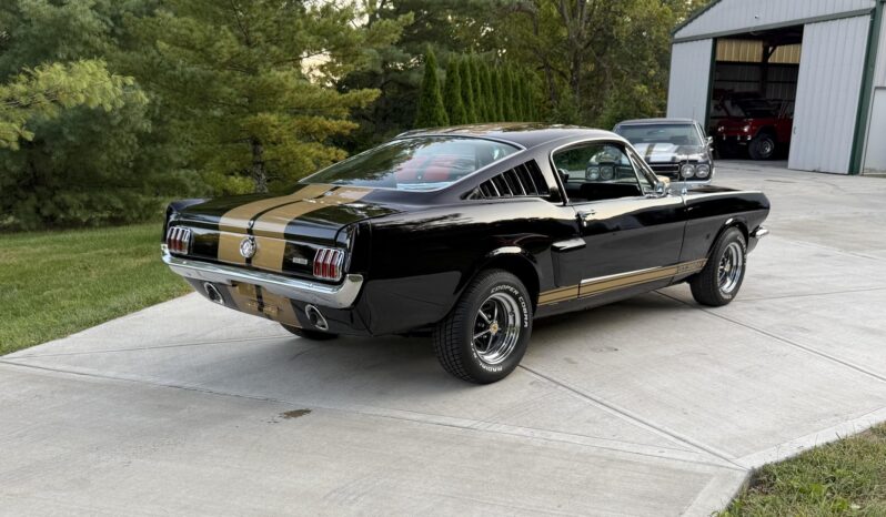 								1965 Ford Mustang Fastback Hertz Gt350h full									