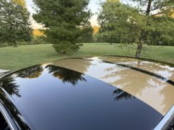 1965 Ford Mustang Fastback Hertz Gt350h