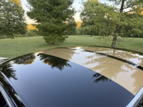 1965 Ford Mustang Fastback Hertz Gt350h