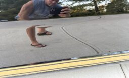 										1965 Ford Mustang Fastback Hertz Gt350h full									