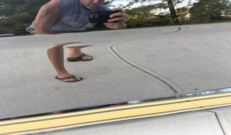 								1965 Ford Mustang Fastback Hertz Gt350h full									