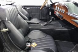 1966 Ford Mustang Shelby Cobra