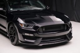
										2019 Ford Mustang Shelby GT350 full									