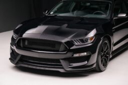 
										2019 Ford Mustang Shelby GT350 full									