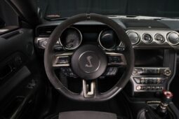 
										2019 Ford Mustang Shelby GT350 full									