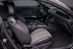 
										2019 Ford Mustang Shelby GT350 full									