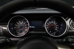 
										2019 Ford Mustang Shelby GT350 full									