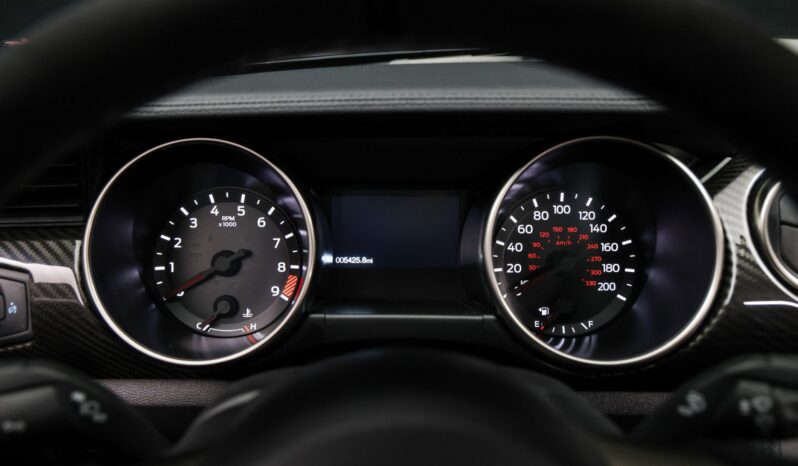 
								2019 Ford Mustang Shelby GT350 full									