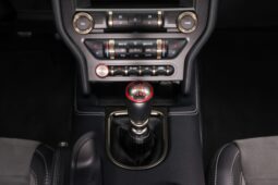 
										2019 Ford Mustang Shelby GT350 full									