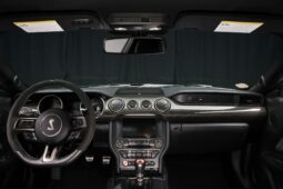 
										2019 Ford Mustang Shelby GT350 full									