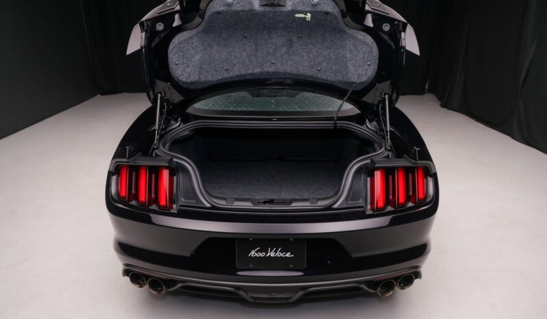 
								2019 Ford Mustang Shelby GT350 full									